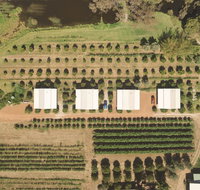 Swan Valley Sisters - Maitland Accommodation