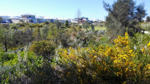 Alkimos Beach Cottage - Maitland Accommodation 3