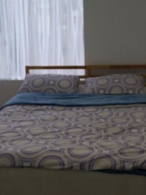 DIANELLA Budget Rooms Happy Place To Stay - Maitland Accommodation 24