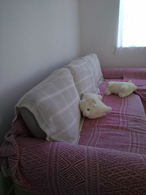 DIANELLA Budget Rooms Happy Place To Stay - Maitland Accommodation 29