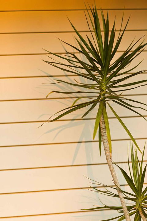 The Billi Resort - Maitland Accommodation 44