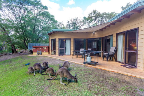 Yelverton Brook Conservation Sanctuary - Maitland Accommodation 18