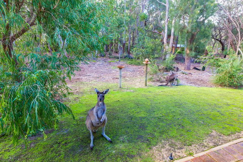 Yelverton Brook Conservation Sanctuary - Maitland Accommodation 11