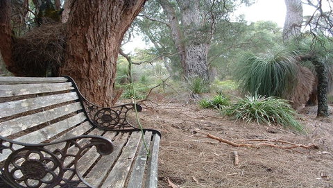 Yelverton Brook Conservation Sanctuary - Maitland Accommodation 42