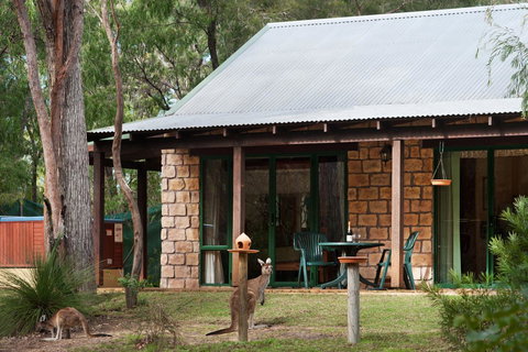 Yelverton Brook Conservation Sanctuary - Maitland Accommodation 36