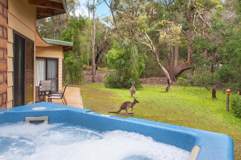 Yelverton Brook Conservation Sanctuary - Maitland Accommodation 9