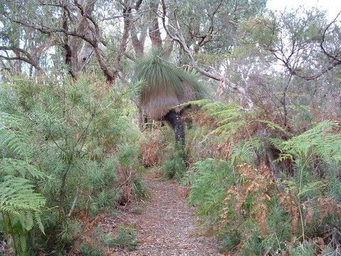 Yelverton Brook Conservation Sanctuary - Maitland Accommodation 41
