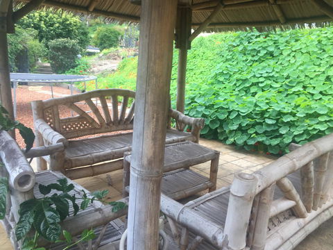 Bright & Beautiful Home On The Hills! - Maitland Accommodation 25