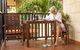 Blue Seas Resort - thumb 4