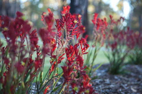 Amaroo Retreat & Spa - Maitland Accommodation 16