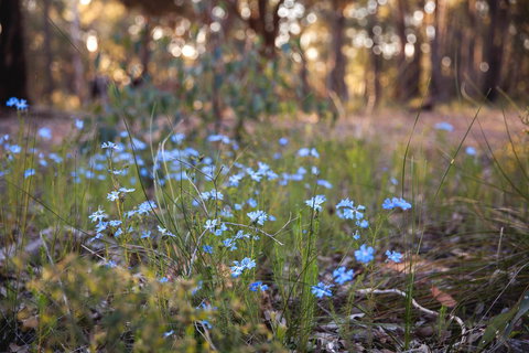 Amaroo Retreat & Spa - Maitland Accommodation 15