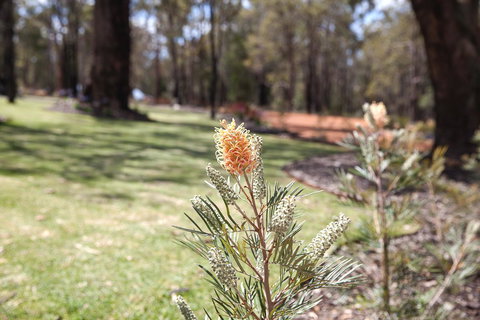 Amaroo Retreat & Spa - Maitland Accommodation 19