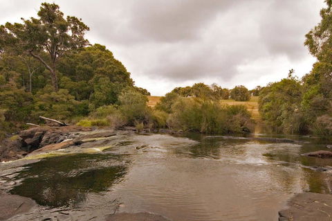 Arum - Close To The Margaret River - Maitland Accommodation 12