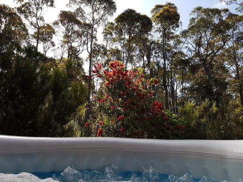 Jarrah Grove Forest Retreat - Maitland Accommodation 13