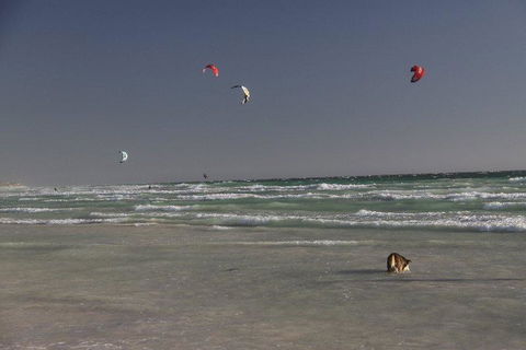 Dongara Tourist Park - Maitland Accommodation 33