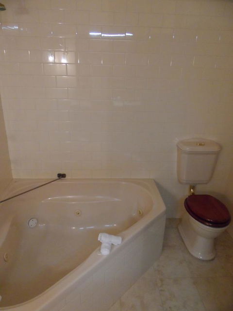 Clifton Motel & Grittleton Lodge - Maitland Accommodation 32