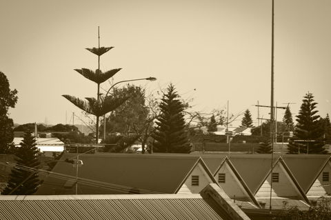 Annie's Victorian Terrace Accommodation Fremantle - Maitland Accommodation 2