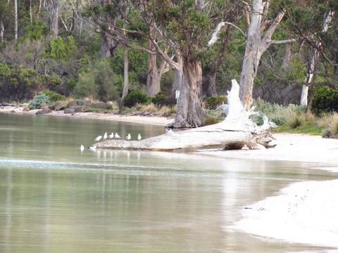 The Boat Shed - Maitland Accommodation 12