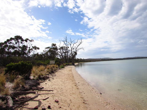 The Boat Shed - Maitland Accommodation 2