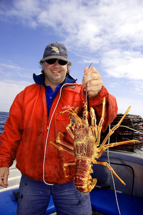 Horizon Deluxe Apartments - Maitland Accommodation 15