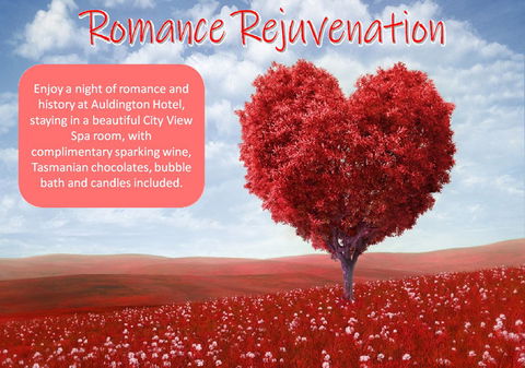 Auldington Hotel - Maitland Accommodation 6