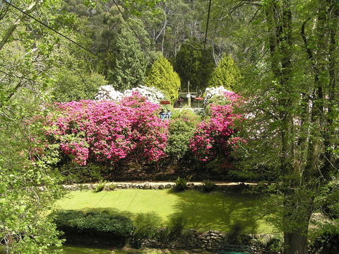 Auldington Hotel - Maitland Accommodation 23