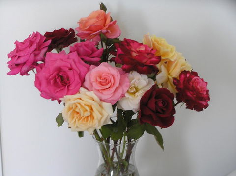 Auldington Hotel - Maitland Accommodation 30