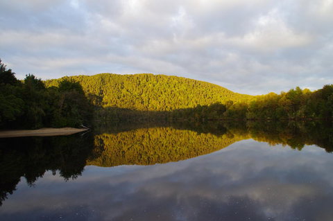 The Crays Accommodation - Maitland Accommodation 40