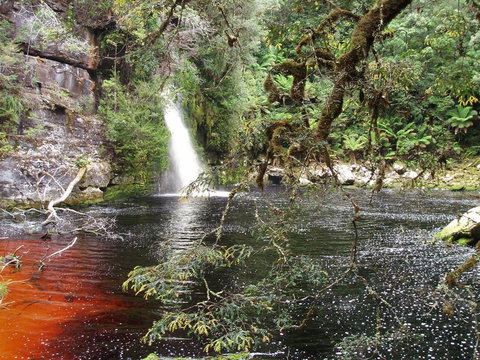 The Crays Accommodation - Maitland Accommodation 38