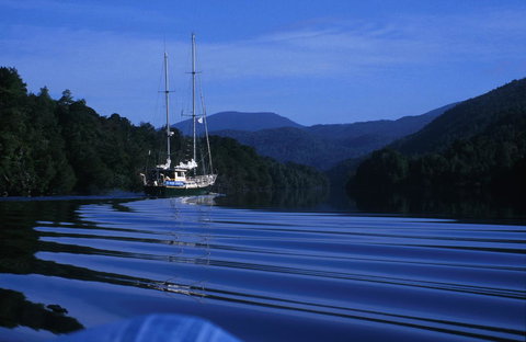 The Crays Accommodation - Maitland Accommodation 36