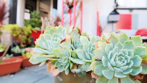 New Norfolk Junction Motel - Maitland Accommodation 27