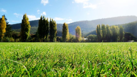 New Norfolk Junction Motel - Maitland Accommodation 16