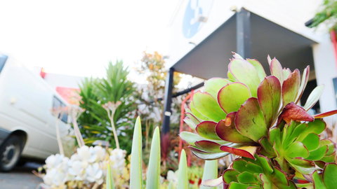 New Norfolk Junction Motel - Maitland Accommodation 32