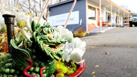 New Norfolk Junction Motel - Maitland Accommodation 29