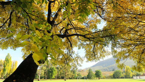New Norfolk Junction Motel - Maitland Accommodation 17
