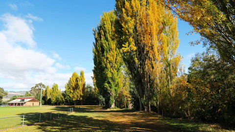 New Norfolk Junction Motel - Maitland Accommodation 15