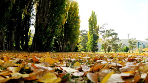 New Norfolk Junction Motel - Maitland Accommodation 19