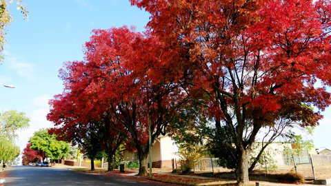 New Norfolk Junction Motel - Maitland Accommodation 22
