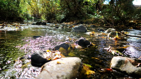 New Norfolk Junction Motel - Maitland Accommodation 20