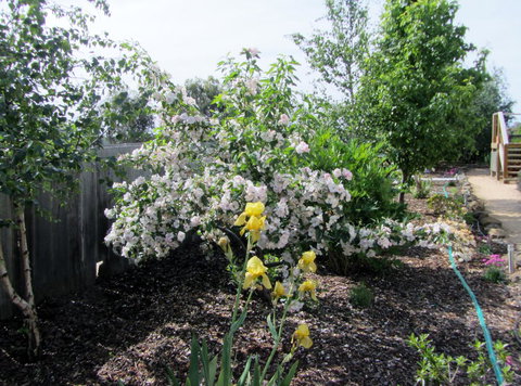 Elm Trees Accommodation @ Ross - Maitland Accommodation 7