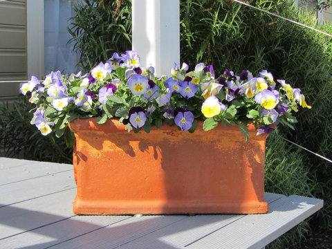 Elm Trees Accommodation @ Ross - Maitland Accommodation 27