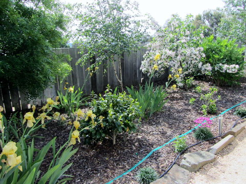 Elm Trees Accommodation @ Ross - Maitland Accommodation 6