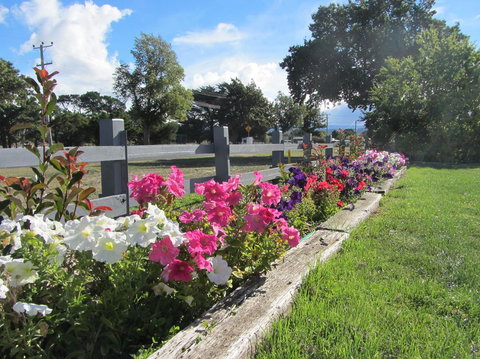 Elm Trees Accommodation @ Ross - Maitland Accommodation 24