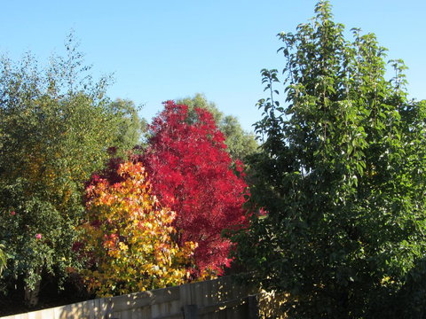 Elm Trees Accommodation @ Ross - Maitland Accommodation 21