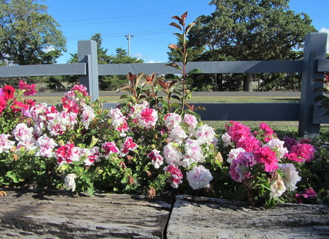 Elm Trees Accommodation @ Ross - Maitland Accommodation 25