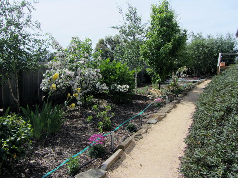 Elm Trees Accommodation @ Ross - Maitland Accommodation 5