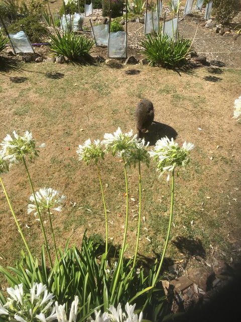 House On The Hill Bed And Breakfast - Maitland Accommodation 8