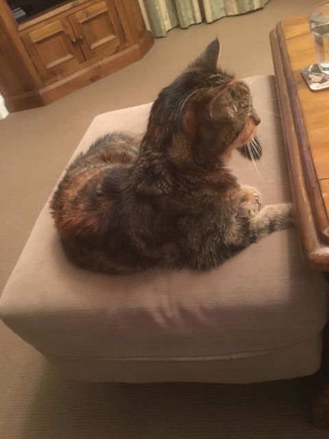 House On The Hill Bed And Breakfast - Maitland Accommodation 13