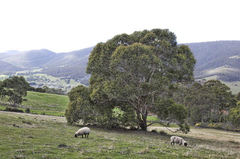 House On The Hill Bed And Breakfast - Maitland Accommodation 15