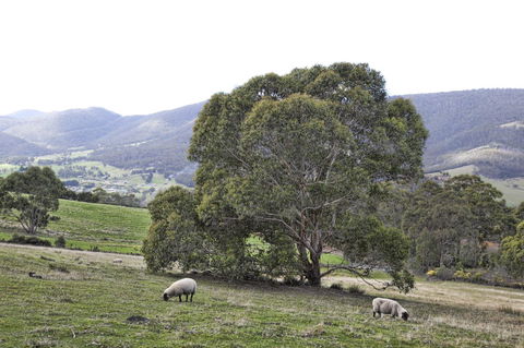 House On The Hill Bed And Breakfast - Maitland Accommodation 16